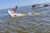 Wal versenkt Feuerwehrboot: Retter werden selbst zu Schiffbrüchigen