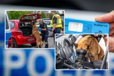 Weil immer mehr Chemnitzer zugedröhnt fahren: Drogen-Kontrolle an der Neefestraße