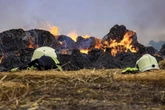 Rauchwolke über Darmstadt-Arheilgen: Feuerwehr mit vielen Einsatzkräften vor Ort