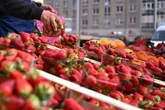 Kein Platz mehr für Wochenmarkt: Mega-Events zwingen Händler zum Umzug