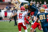 40 Grad in Potsdam: Monarchs gewinnen royalen Heat Bowl