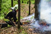 Mit der Hitze steigt die Brandgefahr: So verhaltet Ihr Euch richtig in Chemnitzer Wäldern