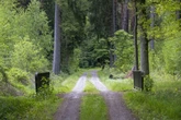 Dresdnerin (†21) tot im Wald gefunden: Polizei sucht Zeugen unter Partygängern