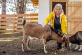 Mit Ziegen, Hühnern und Hasen: Frau Ackermann und ihr Kuschel-Zoo für Senioren