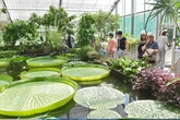 Botanischer Garten: Worüber sich Besucher bis heute oft beschweren