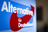 Scheiben von Bürgerbüro der AfD mit Steinen eingeschlagen
