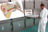 Haben Mediziner Knochen von Toten geklaut? Dresdner Uniklinik zieht Konsequenzen