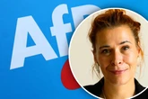 Linken-Vorstand für AfD-Verbot: "Menschenfeindlicher Charakter unübersehbar"