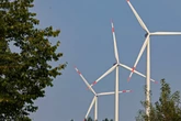 Windräder in Sachsens Wäldern - BUND fordert strengere Regeln für Wald-Windkraft