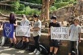 Aktivisten ketten sich an Gehege in Zoo: "Lasst die Paviane frei"