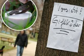 Rasierklingen und Gift in Parks, Gärten und auf den Straßen: So viele Giftköder werden in Sachsen verteilt