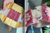 Dubai-Schokolade war gestern: Neue Schoko-Innovation geht viral