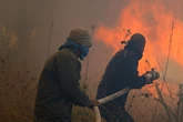 Verheerender Waldbrand auf Zypern: Zwei Todesopfer und massive Zerstörung