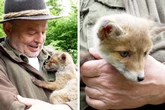 Fuchs-Baby Lotti erfror fast in einem Teich: Jetzt liebt sie Autofahren und Kuscheln