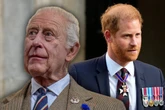 Expertin sicher: Treffen zwischen Prinz Harry und König Charles dringend nötig