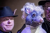 Kopfhörer inklusive: Dresdner Hoftheater übersetzt absoluten Filmklassiker in "Ratten-Sprache"