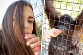 Boxerin raucht im Zoo: Was sie dann macht, sorgt für große Empörung