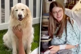 Hunde-Besitzerin liegt in den Wehen: Was sie durchs Fenster sieht, lässt nicht nur ihr Herz schmelzen