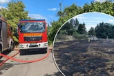 Wiesen-Feuer in Leuben: Dichte Rauchwolken bei Kampf gegen Flammen