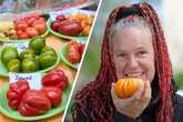 Ihre Liebe zum roten Gemüse wird offenbar geteilt: Tomaten-Züchterin aus Dresden ist jetzt Instagram-Star