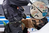 Großrazzia im Brennpunkt Köln-Kalk: Es hagelte Anzeigen