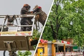 Pfingst-Sturm sorgt für Zerstörung: Alte Eiche am Fetscherplatz beschädigt