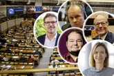 "Team Sachsen" in Brüssel - sie sitzen für uns im EU-Parlament
