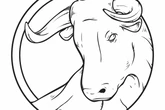 Wochenhoroskop Stier: So wird die nächste Woche vom 13.10. bis 19.10.2025