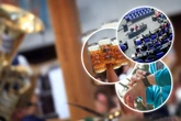 Datenschutz und Oktoberfest: Was sich im September ändert