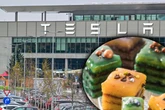 Ende der Kuchenschlacht: Tesla begleicht Rechnung nach dreistem Storno!