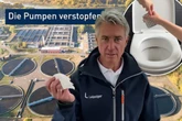 Zu viele Feuchttücher und Ratten: Diese Klärwerk-Kampagne ist (hoffentlich) kein Griff ins Klo