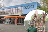 Zungenkuss mit einer Giraffe: TikToker Dr. Emkus testet Job als Tierpfleger im Zoo Dresden