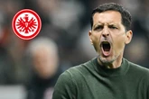 Schreck für Eintracht-Coach Toppmöller: Tierischer Notfall durchkreuzt seine Pläne