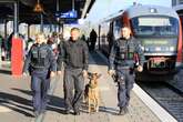 Polizeieinsatz am Hauptbahnhof Magdeburg: Leerer Koffer hält Polizei auf Trab