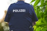 Besitzer war gleich vor Ort: Polizei will Einbruch verhindern und stößt auf Hanf-Plantage