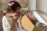 Frau schenkt kleiner Tochter Babykatze: Wie Kind reagiert, ist herzzerreißend