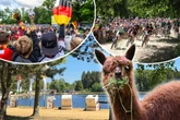 Fußball, Strand und Tierparkfest: Das könnt Ihr heute alles in Chemnitz und Umgebung erleben