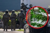 Razzia wegen Terror-Verdachts: Großer Polizeieinsatz in Brandenburg
