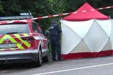Frauenleiche neben Landstraße: Polizei vermutet Tötungsdelikt