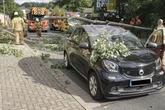 Feuerwehr dank Sturmschäden gefordert: Baum stürzt auf Smart, Fahrerin verletzt