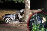 Ford kollidiert mit Bäumen und wird zerrissen, Insassen schwer verletzt