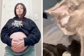 Schwangere traut ihren Augen nicht, was Katzen nachts mit ihrem Bauch machen