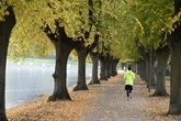 Schirm raus oder Sonne genießen? Das Wetter in NRW am Wochenende