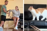 Paar nimmt Präsentation auf, dann macht ihre Katze einen Strich durch die Rechnung