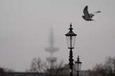 Wetterdienst warnt vor Frost, Nebel und Glätte