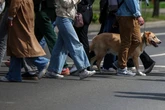Leipzig erhöht Hundesteuer: So viel mehr muss für einen Vierbeiner bezahlt werden