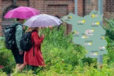 Trübe Aussichten: Gewitter und Regen bringen Unruhe nach Berlin und Brandenburg