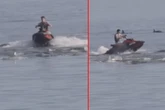 Jetski-Fahrer rasen durch Delfin-Gruppe: Das droht den beiden Männern jetzt
