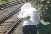 Verirrte Tiere lösen Verkehrschaos aus: Polizei muss Reisende schützen