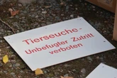 Newcastle-Krankheit breitet sich in Bayern aus: 500 Tiere im Kreis Erding gekeult